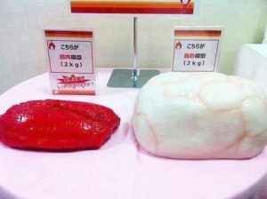 脂肪と筋肉2lg比較