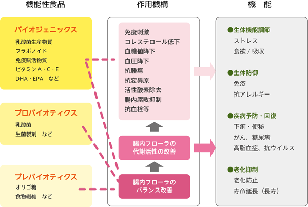 バイオジェニックスの働き