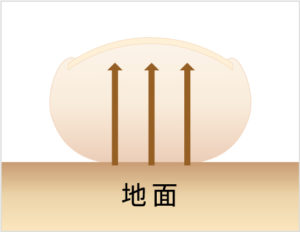 爪のはらの部分に圧がかかり爪が平らに保たれている図